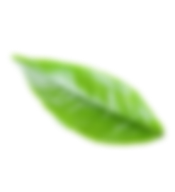 h1-slider5.png