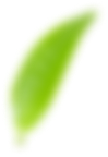 h1-slider7.png