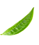 h1-slider8.png