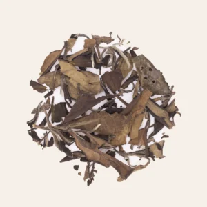 Aged Master's White (2016) - Image 2