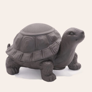 Strainer Shelled Turtle Tea Pet - Image 4