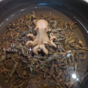 Supportive Octopus Tea Pet - Image 4
