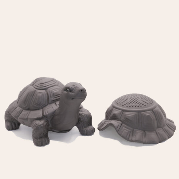 Strainer Shelled Turtle Tea Pet